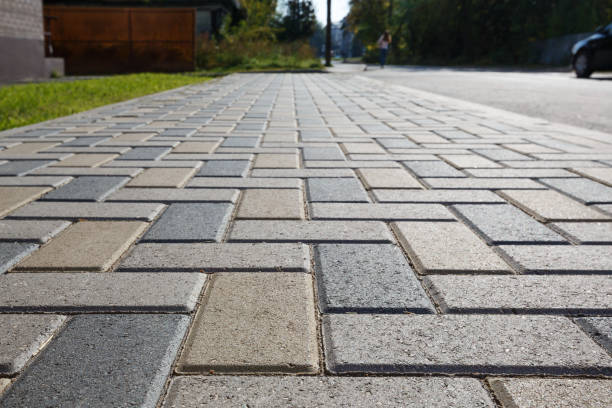 Best Driveway Paving Contractor  in Darien, IL